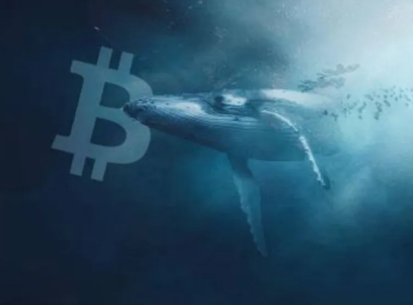 Bitcoin Whale Makes $1.3B Move, Shiba Inu Surges; Crypto Market Update